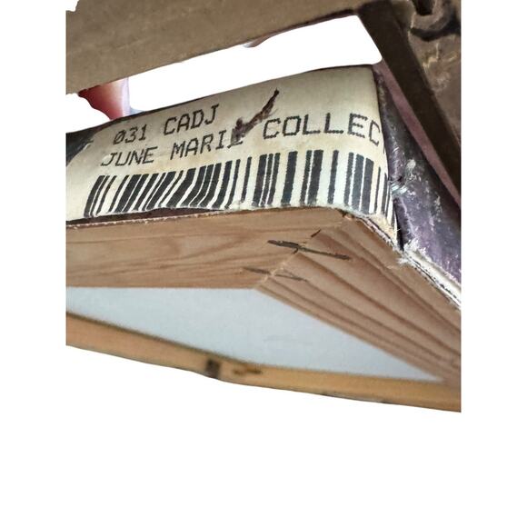 June Marie Mixed Media Abstract Canvas Painted Fiber Gallery Framed Art READ - Picture 6 of 11